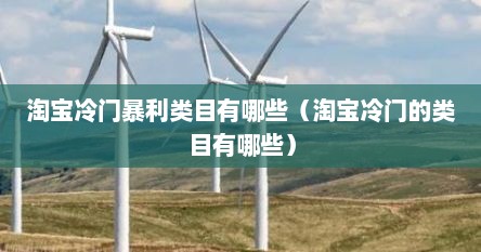 淘宝冷门暴利类目有哪些(淘宝冷门的类目有哪些)