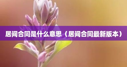 居间合同是什么意思（居间合同最新版本）