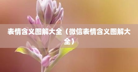 表情含义图解大全（微信表情含义图解大全）