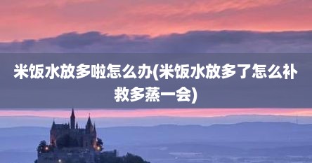米饭水放多啦怎么办(米饭水放多了怎么补救多蒸一会)
