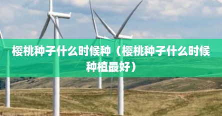 樱桃种子什么时候种（樱桃种子什么时候种植最好）