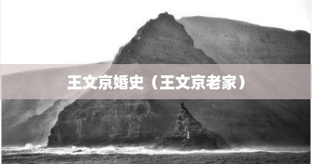 王文京婚史（王文京老家）