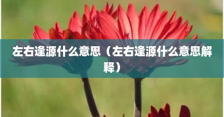 左右逢源什么意思（左右逢源什么意思解释）