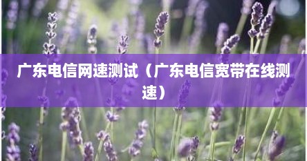 广东电信网速测试（广东电信宽带在线测速）