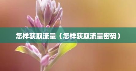 怎样获取手机流量（怎么能获取流量）