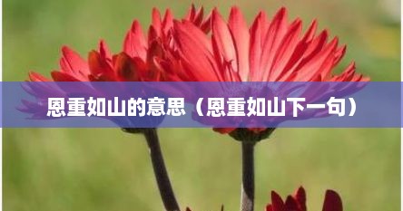 恩重如山的意思（恩重如山下一句）