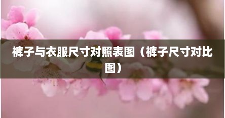 裤子与衣服尺寸对照表图（裤子尺寸对比图）