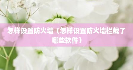 怎样设置防火墙（怎样设置防火墙拦截了哪些软件）