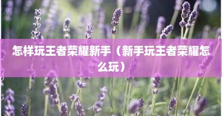 怎样玩王者荣耀新手（新手玩王者荣耀怎么玩）