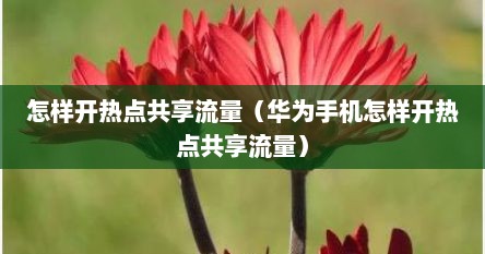 怎样开热点共享流量（华为手机怎样开热点共享流量）