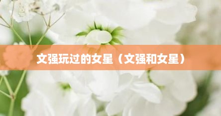 文强玩过的女星（文强和女星）