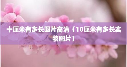 十厘米有多长图片高清（10厘米有多长实物图片）