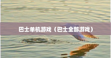 巴士单机游戏（巴士全部游戏）