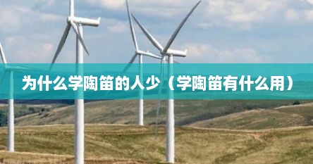 为什么学陶笛的人少（学陶笛有什么用）