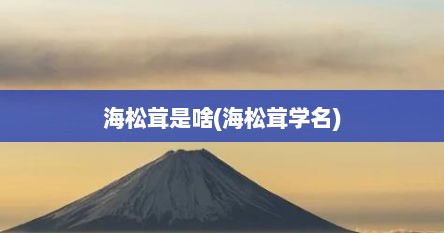 海松茸是啥(海松茸学名)