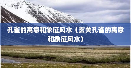 孔雀的寓意和象征风水（玄关孔雀的寓意和象征风水）