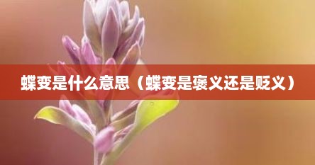 蝶变是什么意思（蝶变是褒义还是贬义）