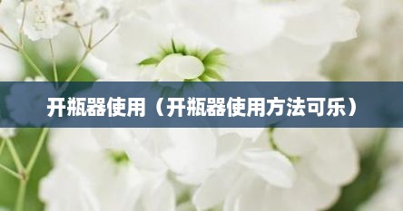 开瓶器使用（开瓶器使用方法可乐）