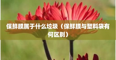 保鲜膜属于什么垃圾（保鲜膜与塑料袋有何区别）