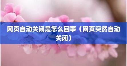 网页自动关闭是怎么回事（网页突然自动关闭）