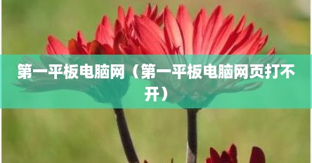 第一平板电脑网（第一平板电脑网页打不开）