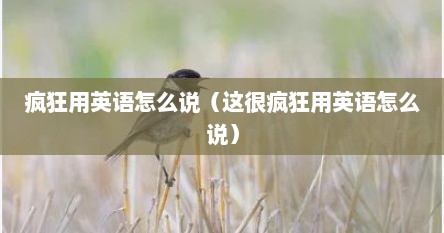 疯狂用英语怎么说（这很疯狂用英语怎么说）