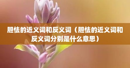 胆怯的近义词和反义词（胆怯的近义词和反义词分别是什么意思）