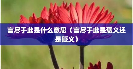 言尽于此是什么意思（言尽于此是褒义还是贬义）