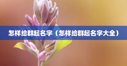 怎样给群起名字（怎样给群起名字大全）