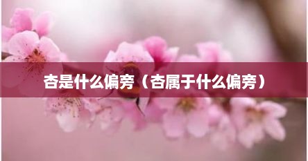 杏是什么偏旁（杏属于什么偏旁）