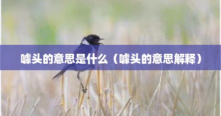 噱头的意思是什么（噱头的意思解释）