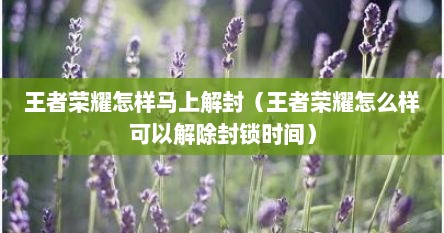 王者荣耀怎样马上解封（王者荣耀怎么样可以解除封锁时间）