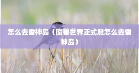 怎么去雷神岛（魔兽世界正式服怎么去雷神岛）