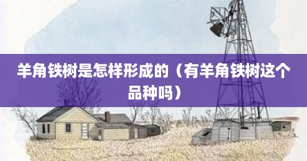 羊角铁树是怎样形成的（有羊角铁树这个品种吗）
