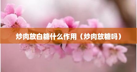 炒肉放白糖什么作用（炒肉放糖吗）