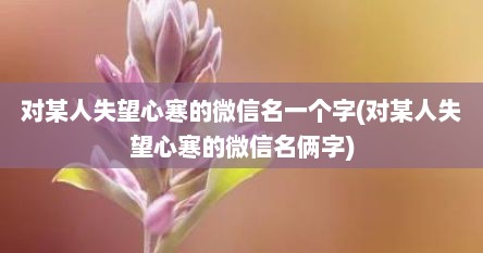 对某人失望心寒的微信名一个字(对某人失望心寒的微信名俩字)