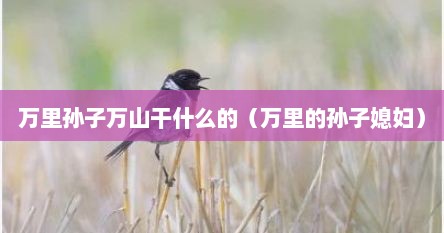 万里孙子万山干什么的（万里的孙子媳妇）