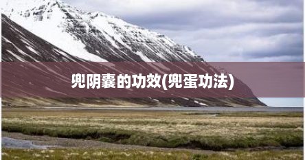 兜阴囊的功效(兜蛋功法)