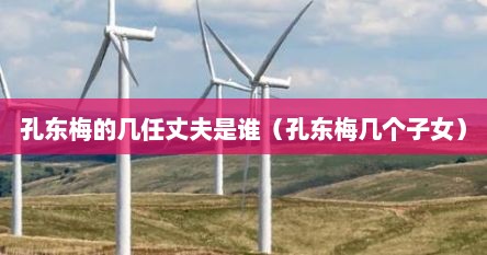 孔东梅的几任丈夫是谁（孔东梅几个子女）