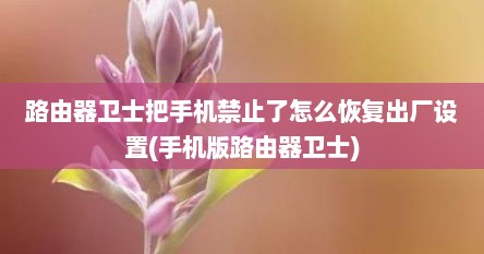 路由器卫士把手机禁止了怎么恢复出厂设置(手机版路由器卫士)