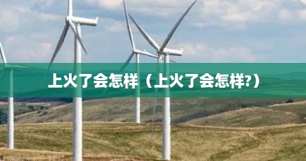 上火了会怎样（上火了会怎样?）