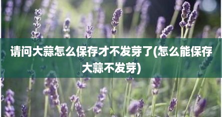 请问大蒜怎么保存才不发芽了(怎么能保存大蒜不发芽)