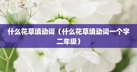 什么花草填动词（什么花草填动词一个字二年级）