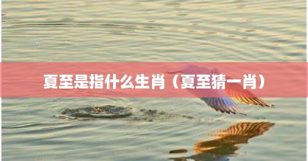 夏至是指什么生肖（夏至猜一肖）