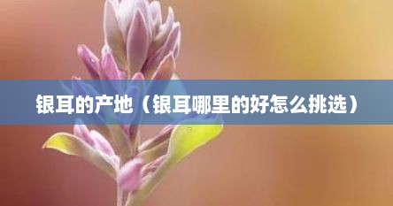 银耳的产地(银耳哪里的好怎么挑选)