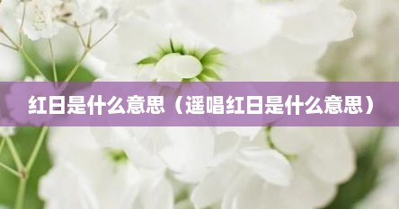 红日是什么意思（遥唱红日是什么意思）