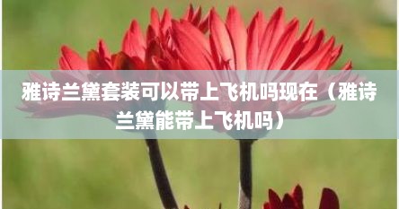 雅诗兰黛套装可以带上飞机吗现在（雅诗兰黛能带上飞机吗）