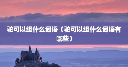 驼可以组什么词语（驼可以组什么词语有哪些）