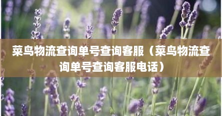 菜鸟物流查询单号查询客服（菜鸟物流查询单号查询客服电话）