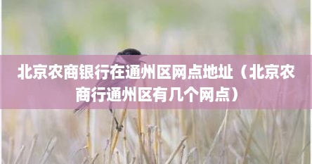 北京农商银行在通州区网点地址（北京农商行通州区有几个网点）